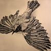 Bird study