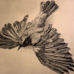 Vogel-Zeichnung-Anja Brinkmann