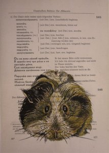 Zeichnung-guinea pig-Anja Brinkmann