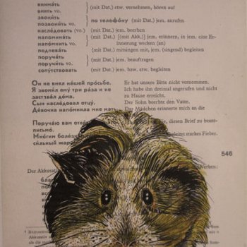 Zeichnung-guinea pig-Anja Brinkmann